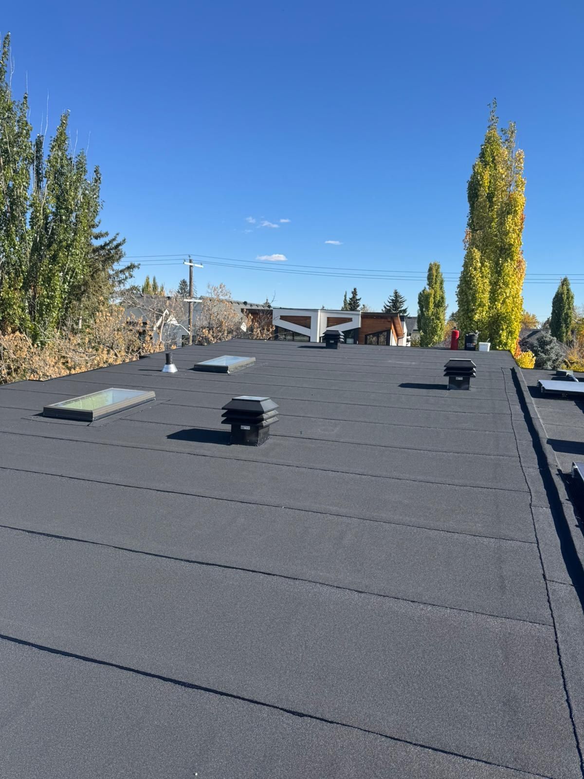 Finished torch-on SBS flat roof with skylights and roof vents on a Calgary home