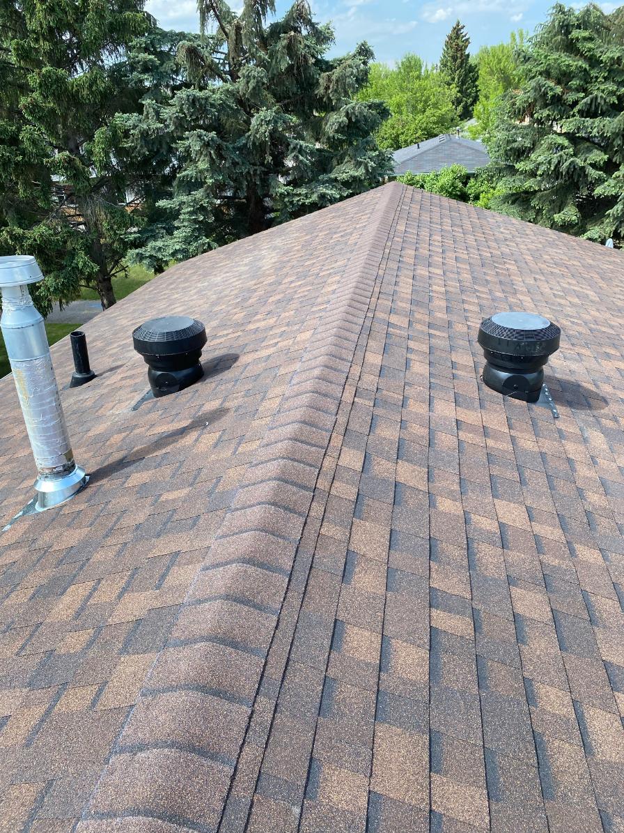 Asphalt Shingle Roof