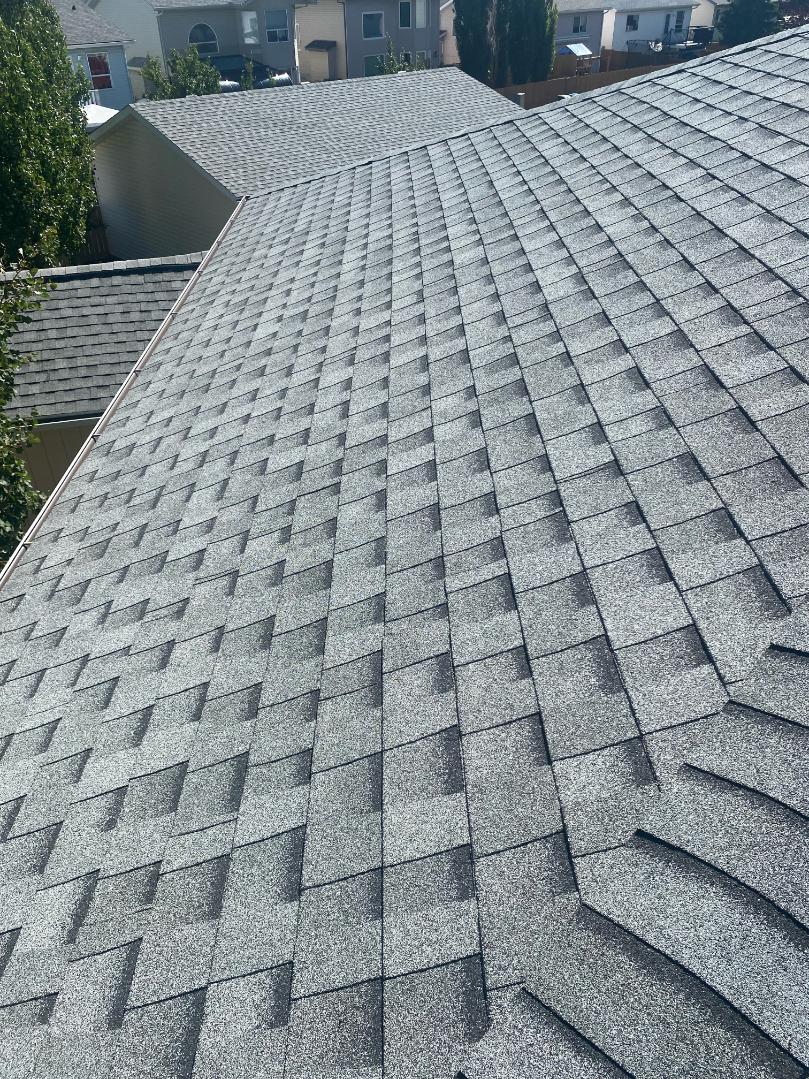 Grey Asphalt Shingle Roof